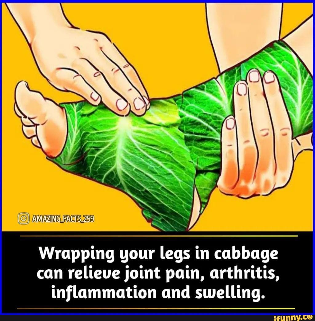 Wrapping your legs in cabbage can relieve joint pain, arthritis