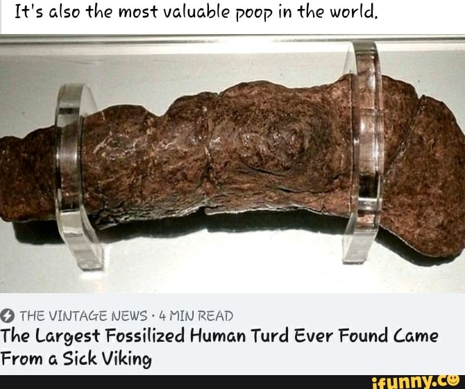 It's also the most valuable poop in the world, O THE VINTAGE NEWS 4 MIN