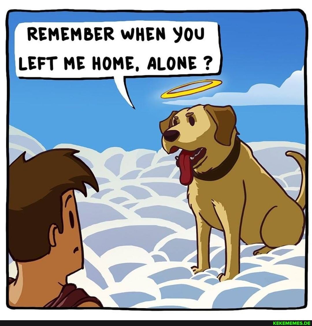 REMEMBER WHEN YOU
LEFT ME HOME, ALONE