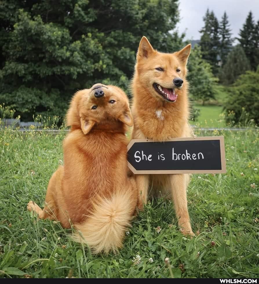 @ =
She breken al