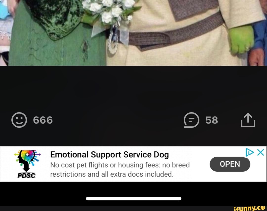 Emotional Support Service Dog
No cost pet flights or housing fees: no breed
[A restrictions and all extra docs included.