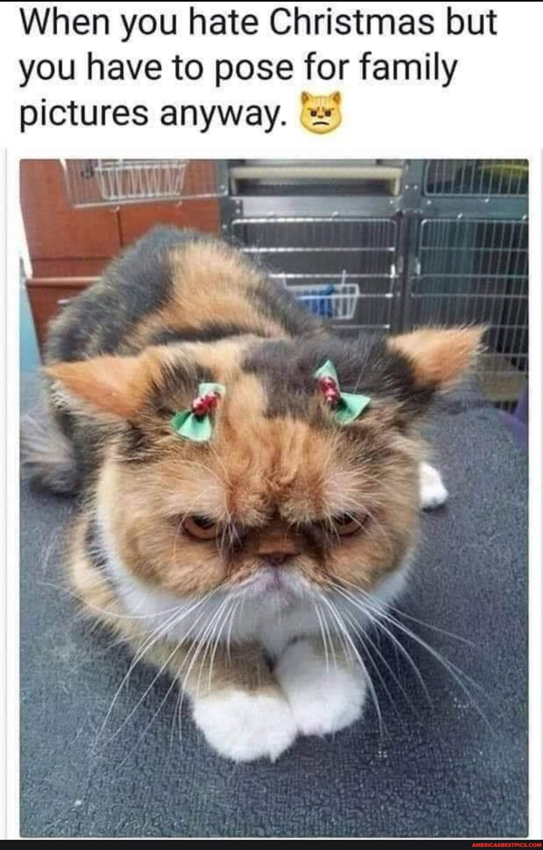 When you hate Christmas but you have to pose for fe family pictures anyway.