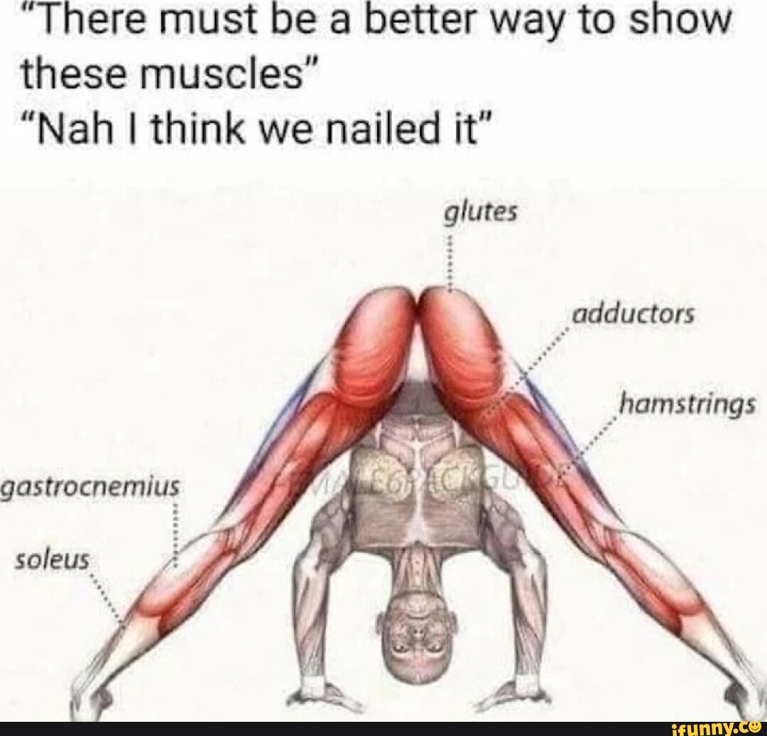 Humorous Muscles