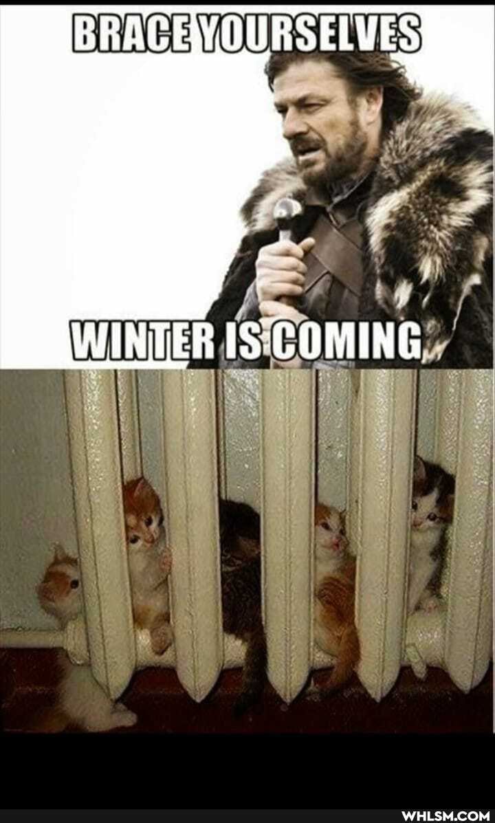 BRACE
WINTER IS COMING