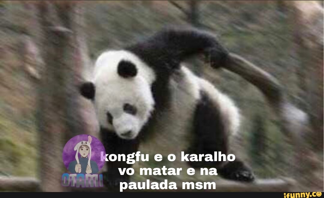 paulada msm