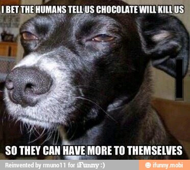 asa
SO THEY CAN HAVE MORE TO THEMSELVES