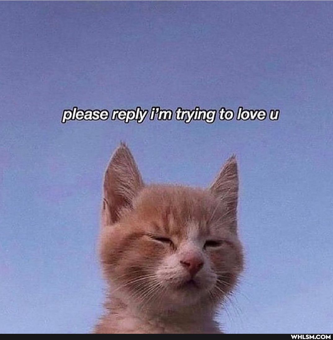 picase reply ((m irying lo love u