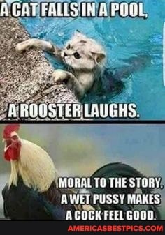 AL TO THE STORY!
AWETPUSSY MAKES,