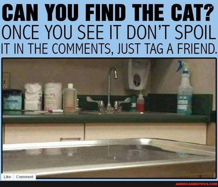 CAN YOU FIND THE CAT? ONCE YOU SEE IT DON'T SPOIL IT IN THE COMMENTS