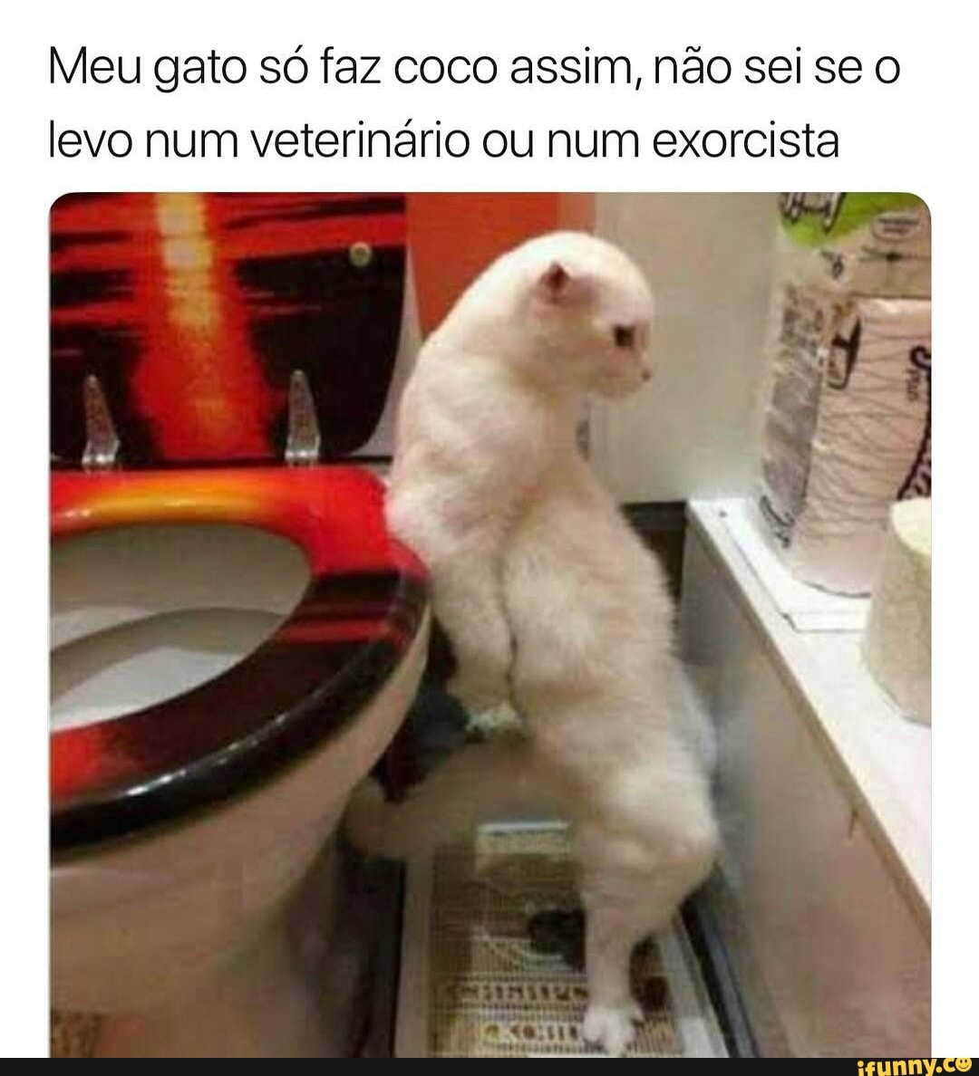 Meu gato só faz coco assim, não sei se o
levo num veterinário ou num exorcista