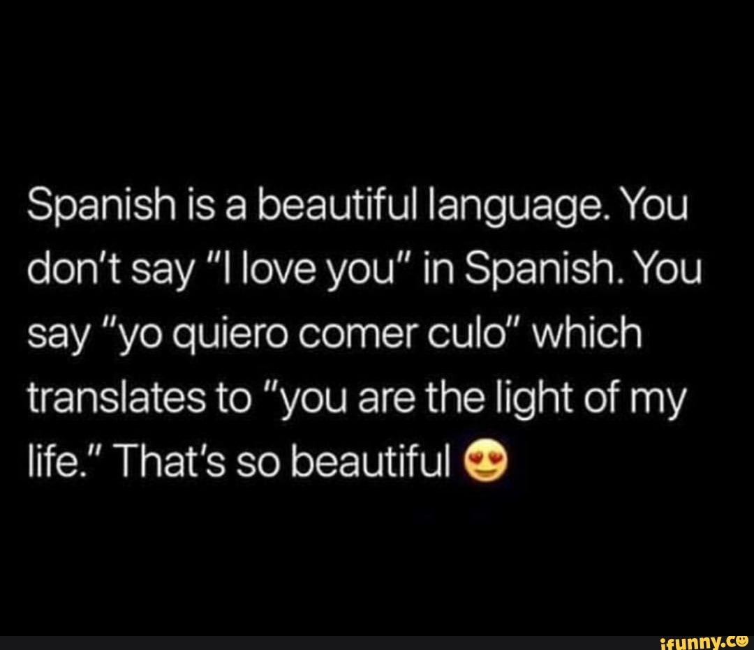 you-are-the-light-of-my-life-in-spanish