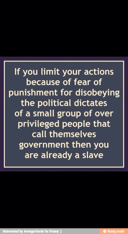 If you limit your actions
because of fear of
punishment for disobeying
the political dictates
of a small group of over
privileged people that
call themselves
government then you
are already a slave