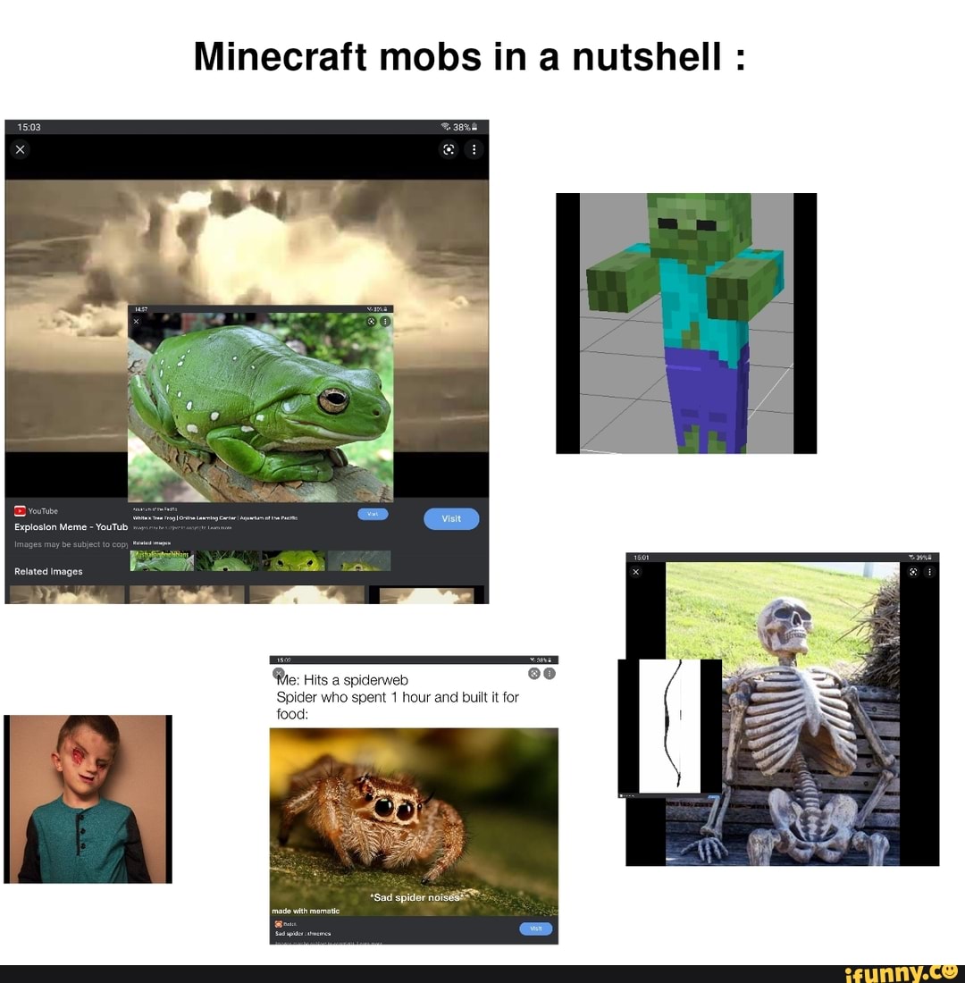 Minecraft mobs in a nutshell : Be: Hits spiderwet> oe 'Spider who spent ...