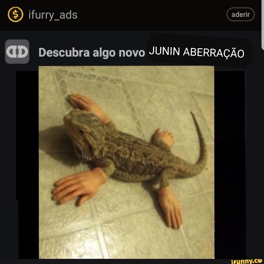 ifurry ads
aD Descubra algo novo JUNIN ABERRAÇÃO
