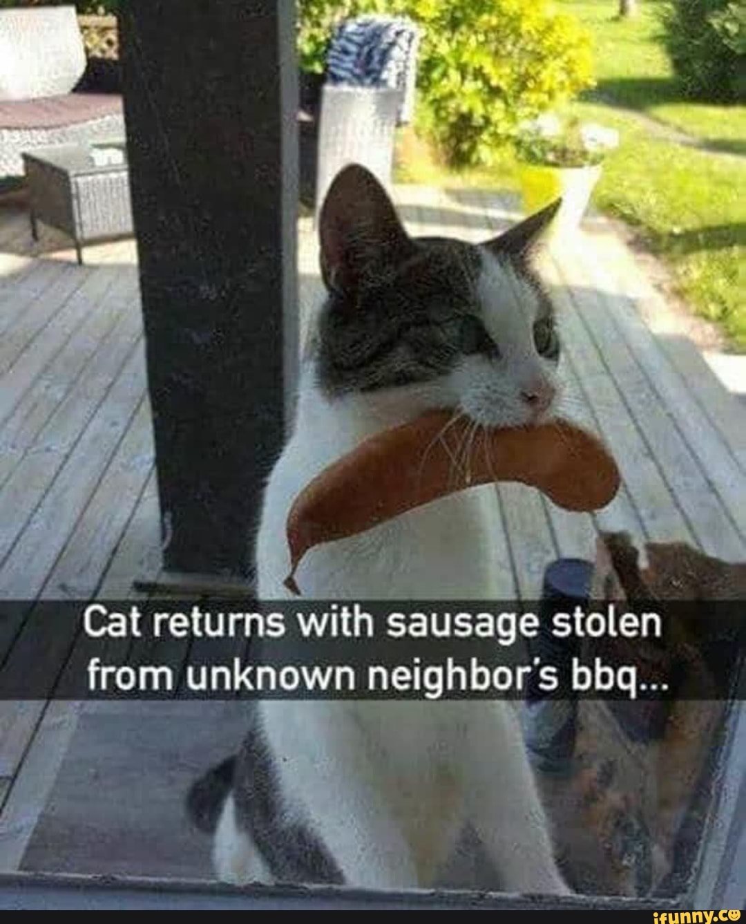 See
CA
tad de
W Cat returns
with sausage stolen
from unknown neighbor's bbq...