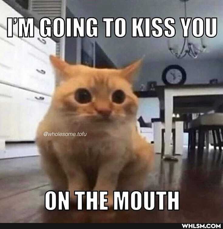 GOING TO KISS YOU
tofy
ON THE MOUTH