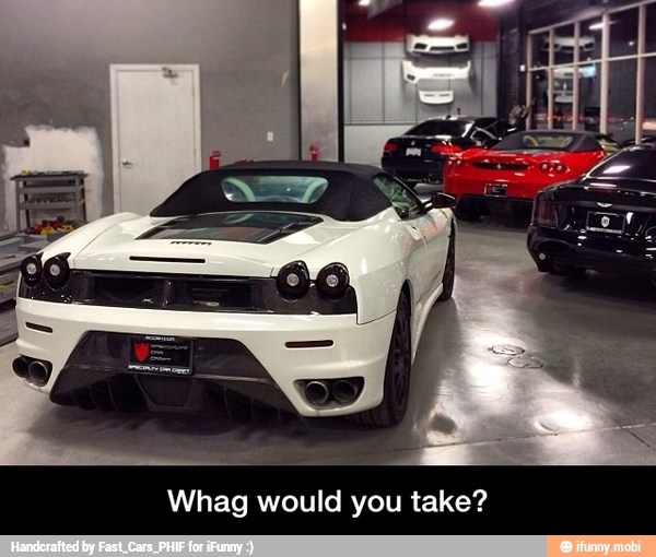 Whag would you take? - Whag would you take?