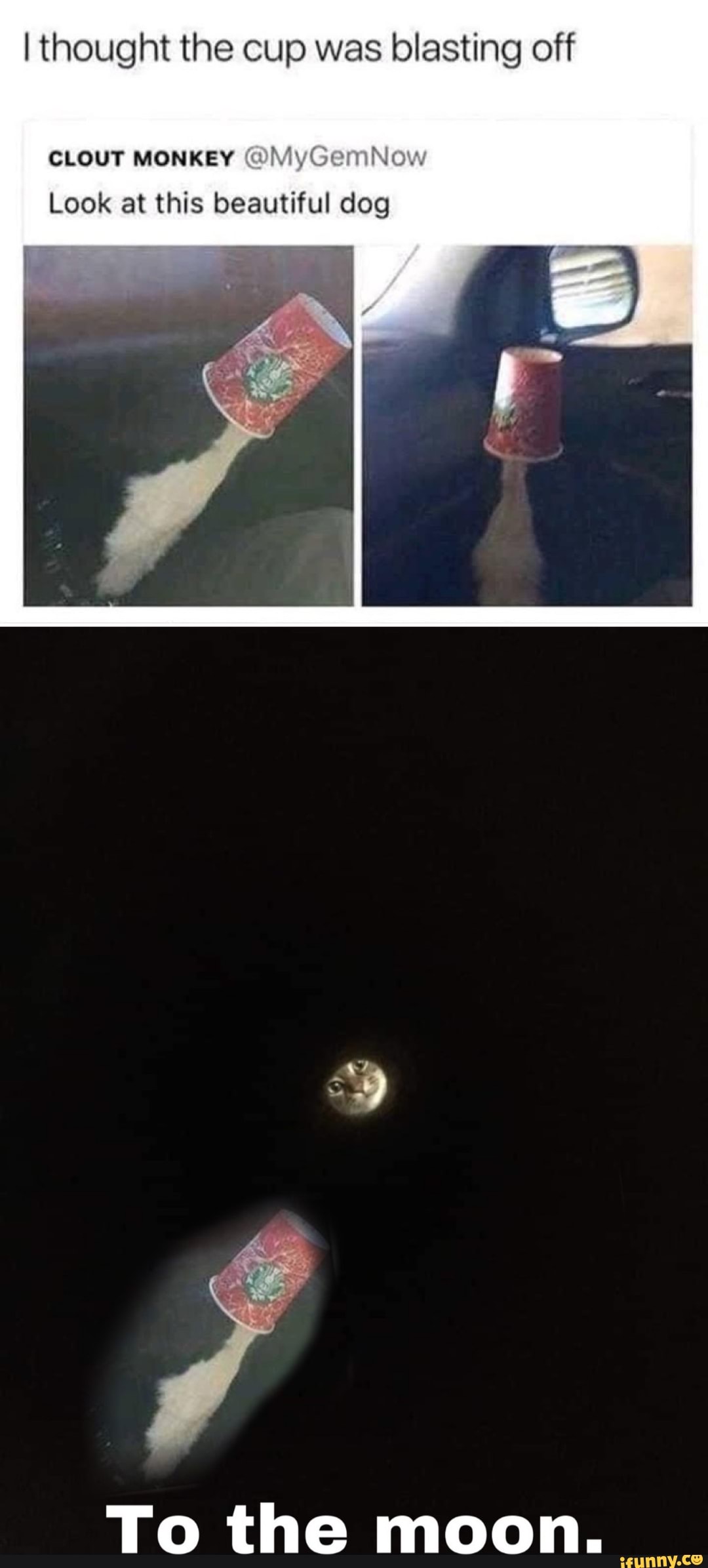 I thought the cup was blasting off
CLOUT MONKEY
Look at this beautiful dog
To the moon.