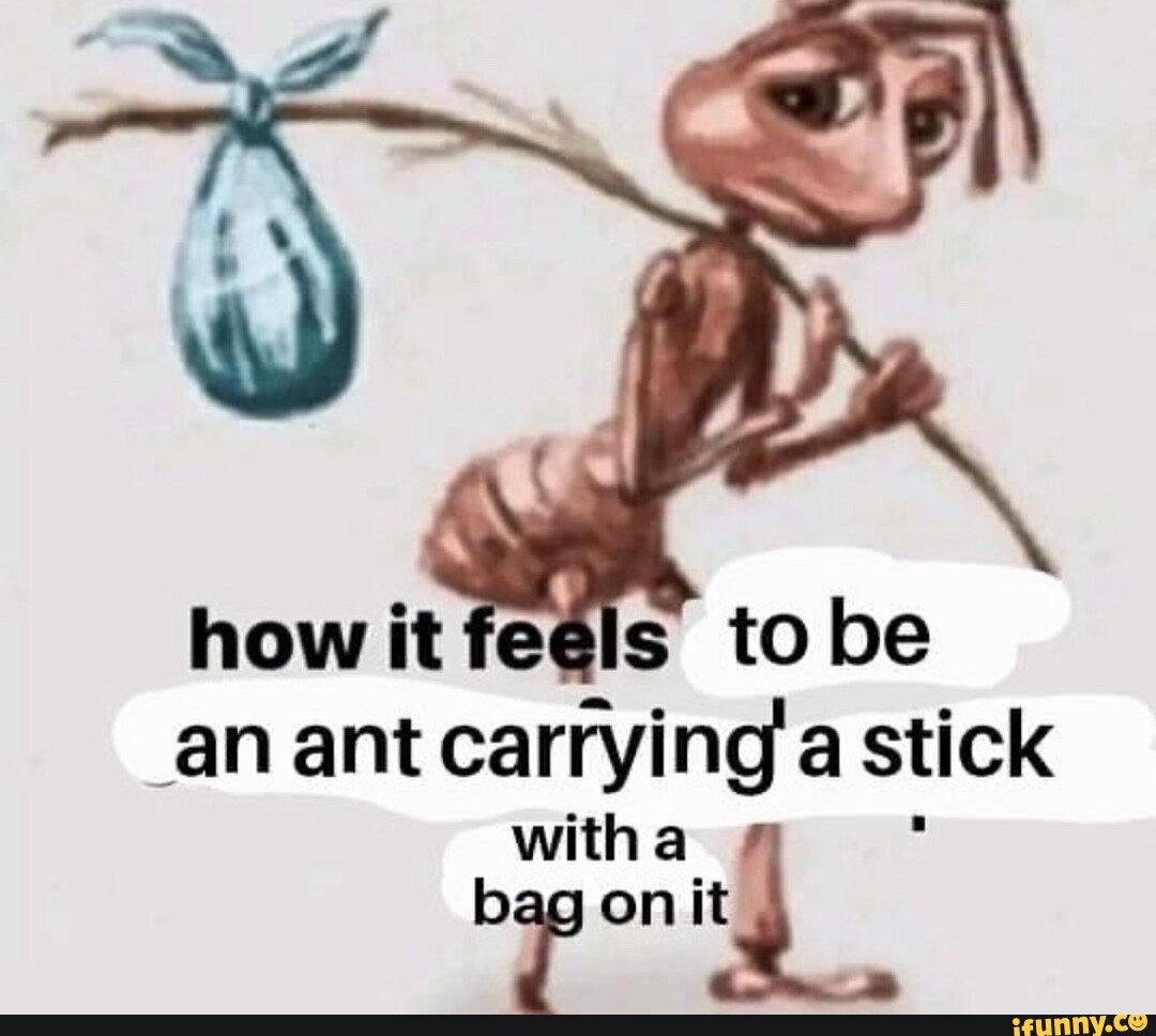 How it to _an ant carrying a stick witha bag on it - iFunny