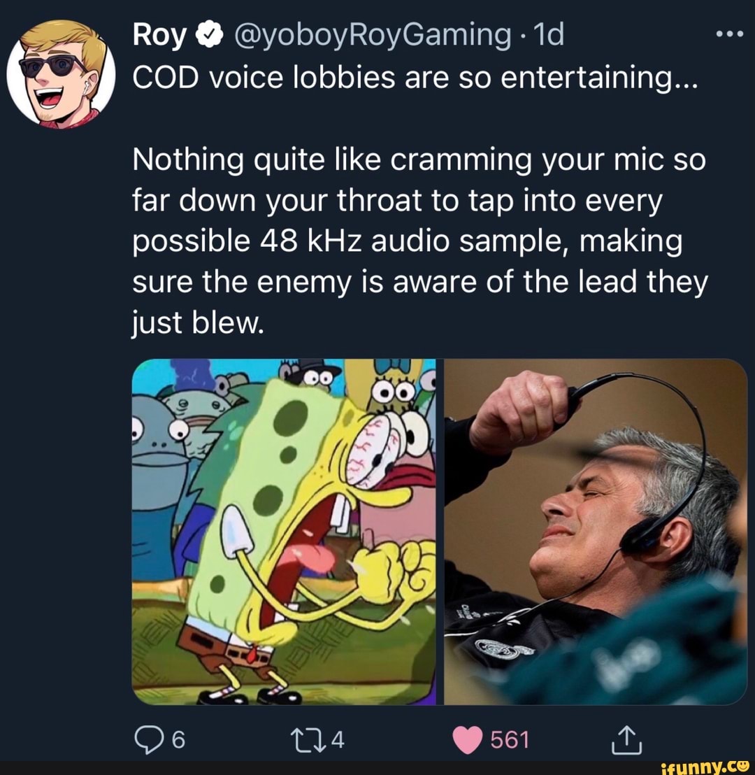 Roy @ COD voice lobbies are so entertaining... Nothing quite like ...