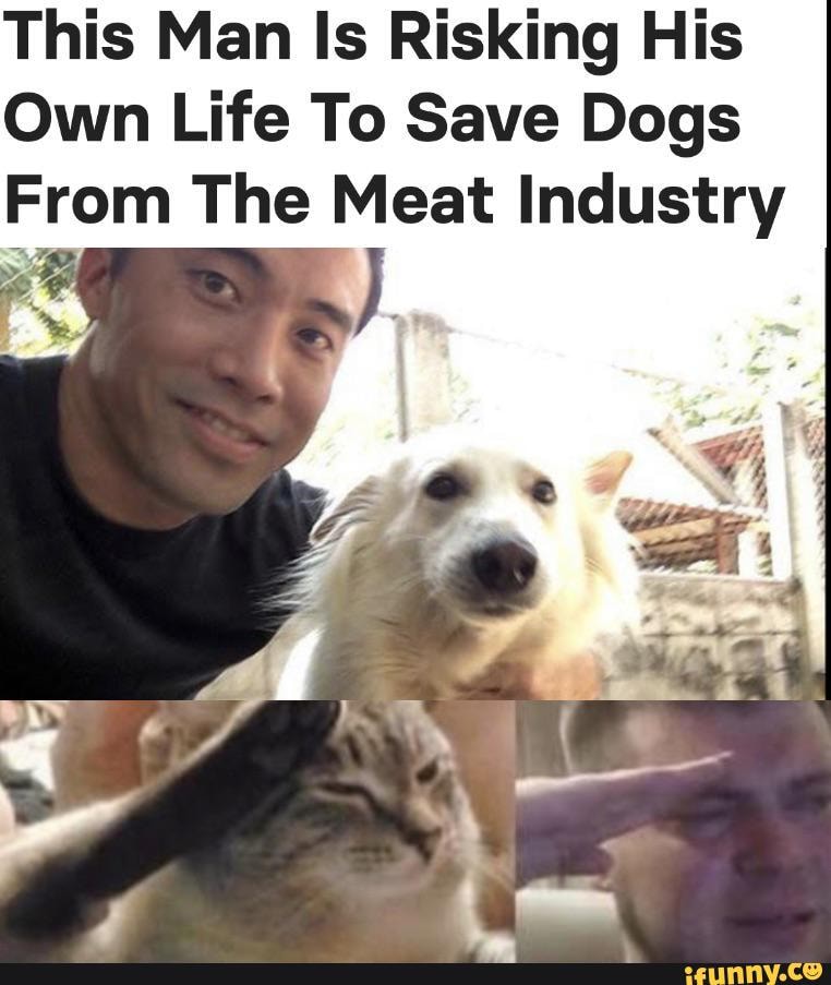 This Man Is Risking His
Own Life To Save Dogs
From The Meat Industry
SE