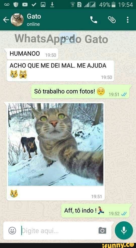 49%
Gato
online
WhatsAppºdo Gato
HUMANO ACHO QUE ME DEI MAL. ME AJUDA
Só trabalho com fotos! &3
Aff, tô indo