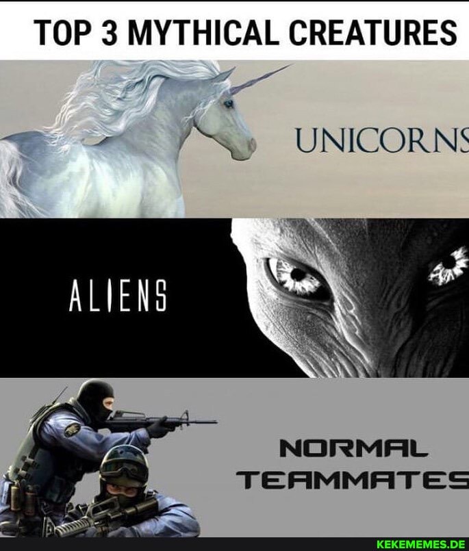 TOP 3 MYTHICAL CREATURES
UNICORNS
ALIENS
NORMAL TEAMMATES