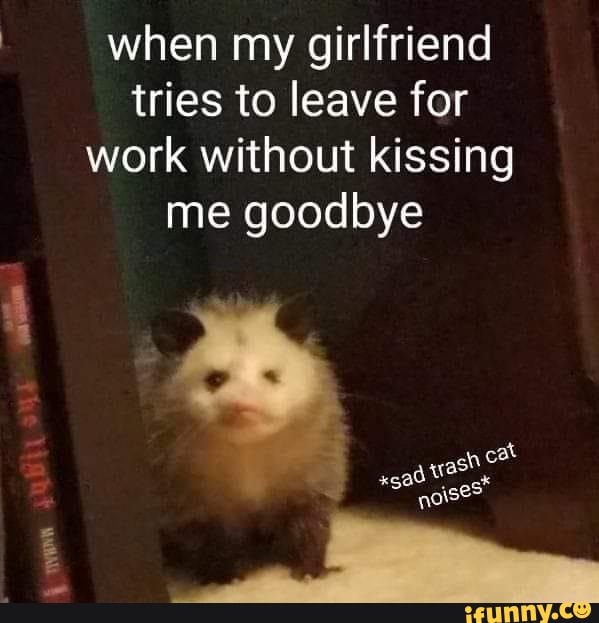 when my girlfriend tries to leave for work without kissing me goodbye
cat