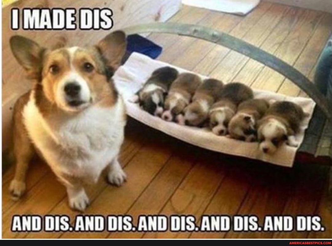 MADE
AND DIS: AND DIS: AND /DIS: AND DIS. AND DIS.