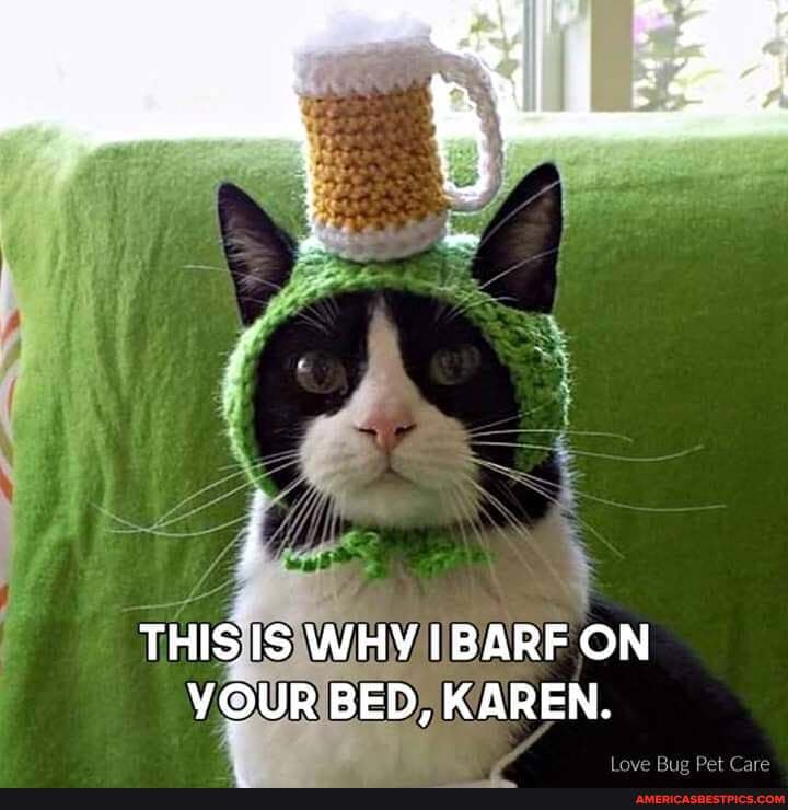 THIS. IS WHY BARF ON YOUR BED, KAREN.