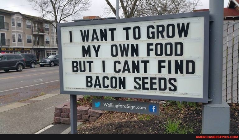 BUT CANT FIND
_BACON SEEDS