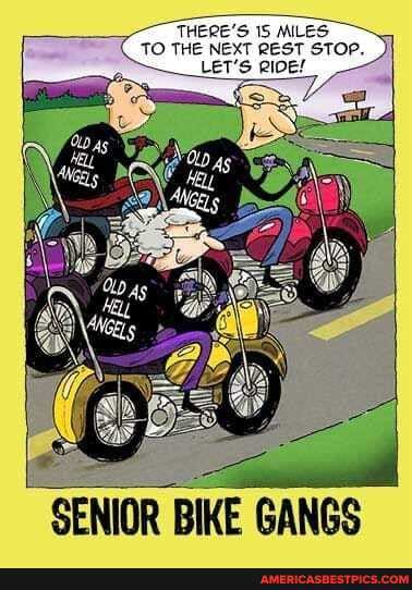 "THERE'S 15 MILES
TO THE NEXT REST STOP.
LET'S QIDE!
_ e.
SENIOR BIKE GANGS