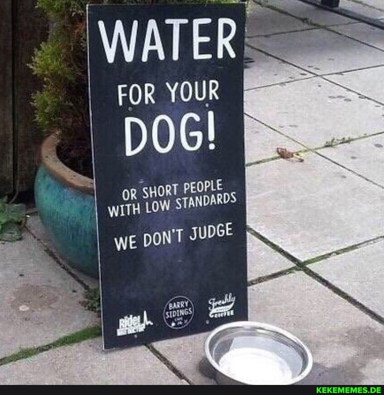 FOR YOUR
WATER
DOG!
or SHORT, PEOPLE
OR WITH
WE
DON'T JUDGE