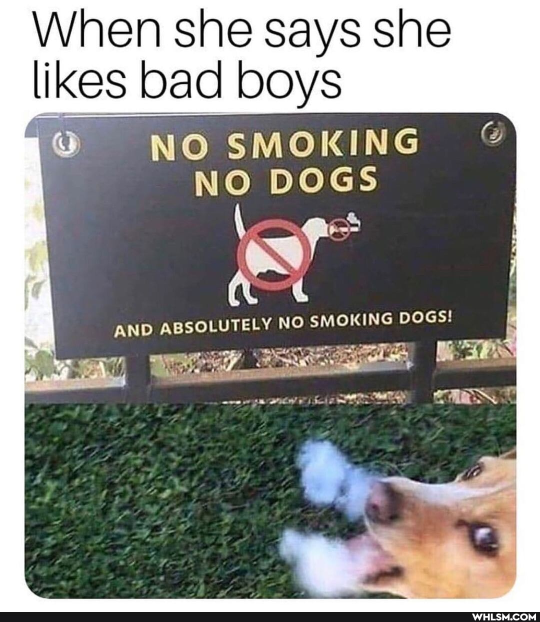 When she says she likes bad boys
NO SMOKING
NO DOGS
AND AB NO SMOKING DOGS!