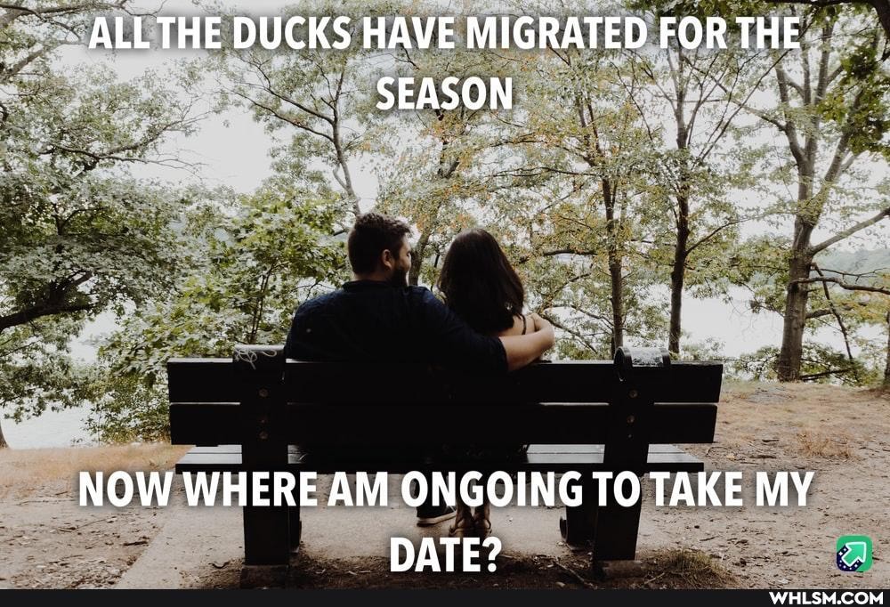 ALL THE DUCKS HAVE MIGRATED FOR THE SEASON
NOW WHERE AM ONGOING TO TAKE MY DATE?
