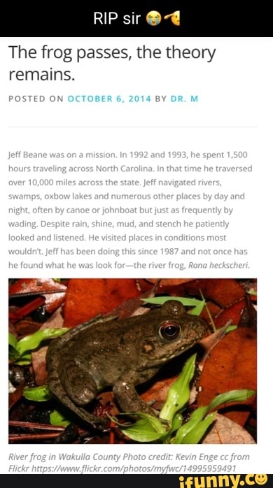 RIP sir The frog passes, the theory remains. POSTED ON swamps, oxbow ...