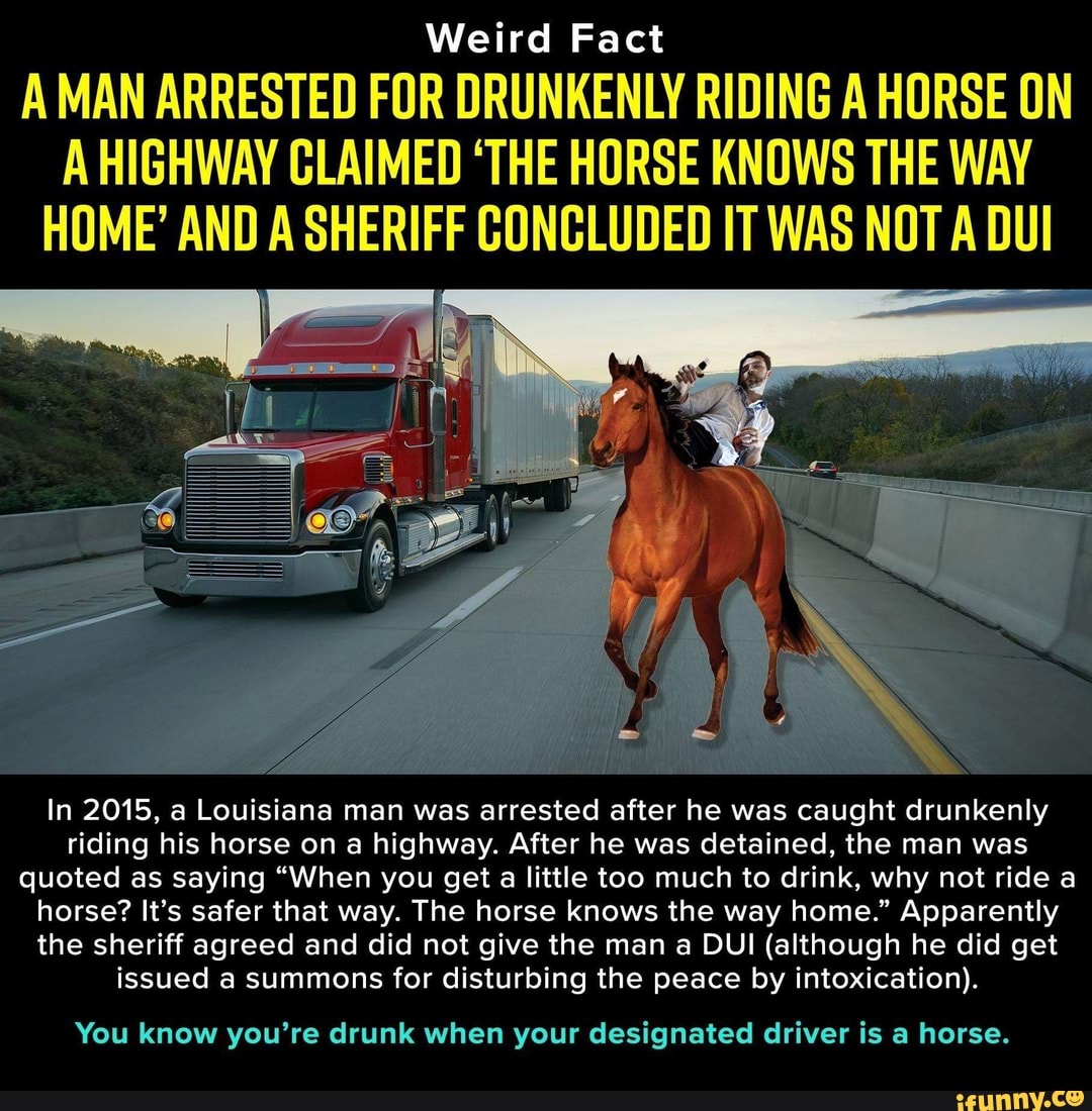 Weird Fact A MAN ARRESTED FDR DRUNKENLY RIDING A HORSE [IN A HIGHWAY ...