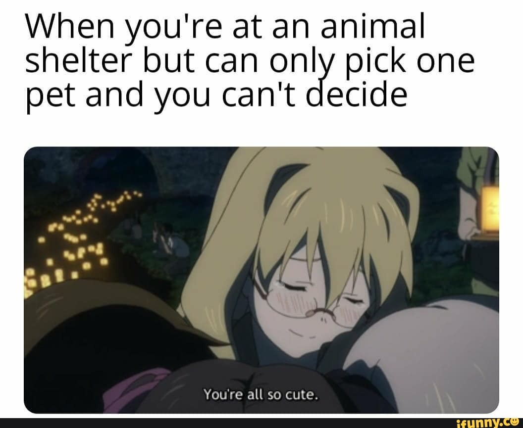 When you're at an animal
shelter but can only pick one
pet and you can't decide