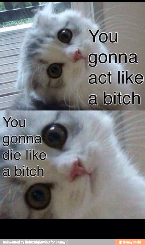 act like
You
gonna
die like