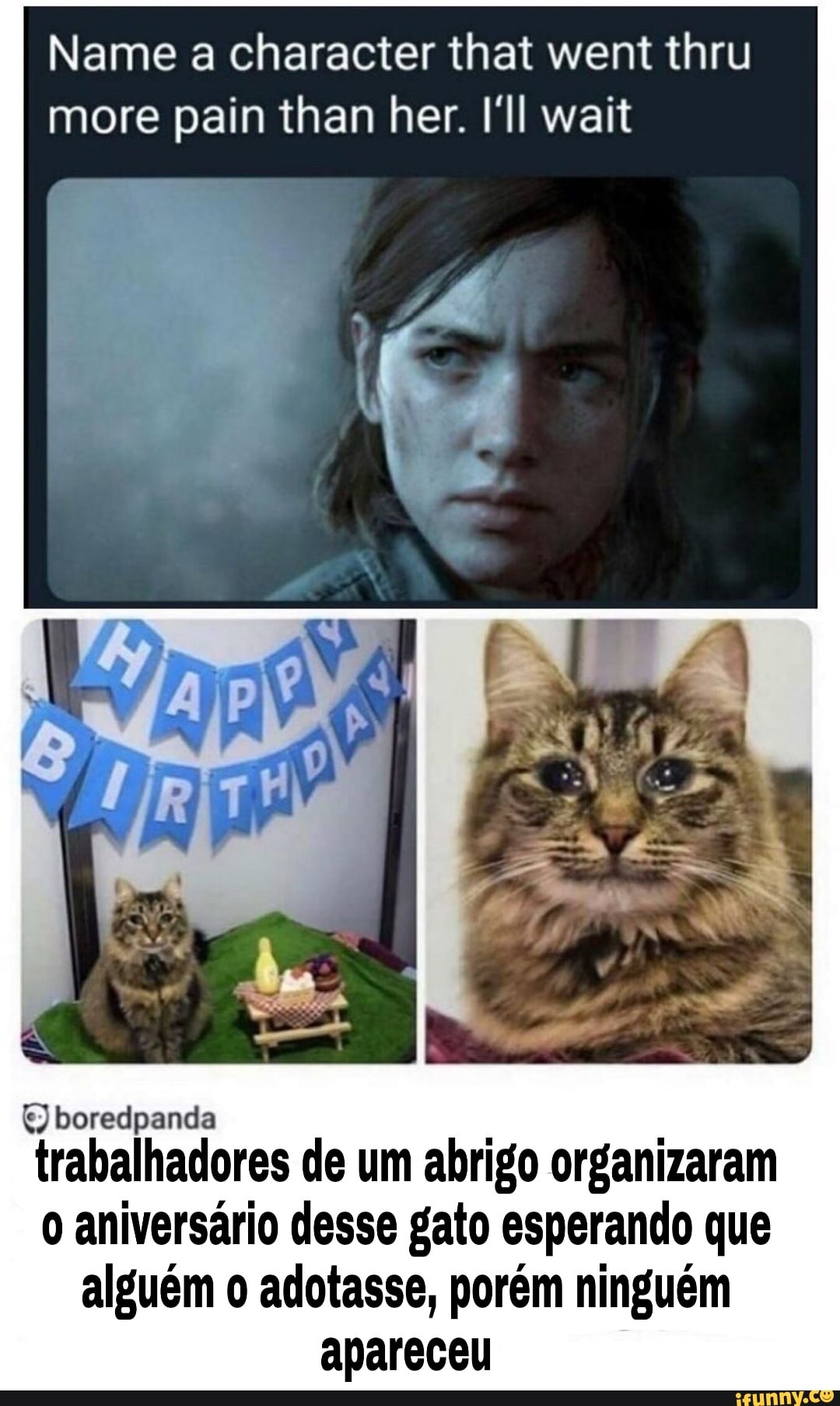 E) boredpanda
trabalhadores de um abrigo organizaram
o aniversário desse gato esperando que
alguém o adotasse, porém ninguém
apareceu