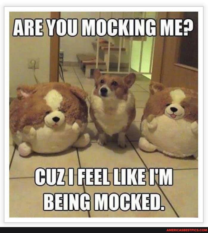 ARE YOU MOCKING ME?
GUZTFEEL LIKE BEING MOCKED: