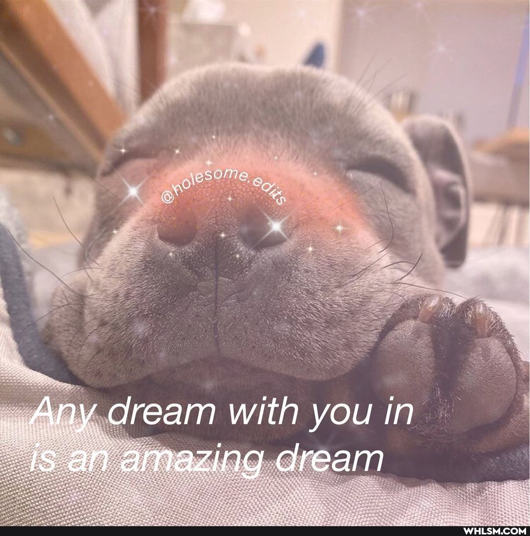 _ Any dream with you in an amazing dream