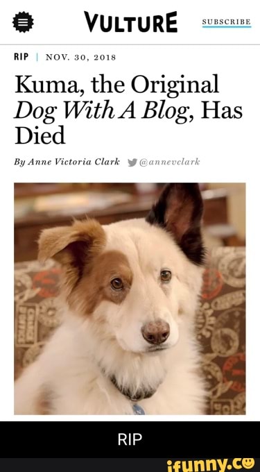 is the dog from dog with a blog dead