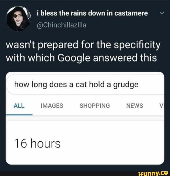 i bless the rains down in castamere
wasn't prepared for the specificity with which Google answered this
how long does a cat hold a grudge
ALL IMAGES SHOPPING NEWS
16 hours