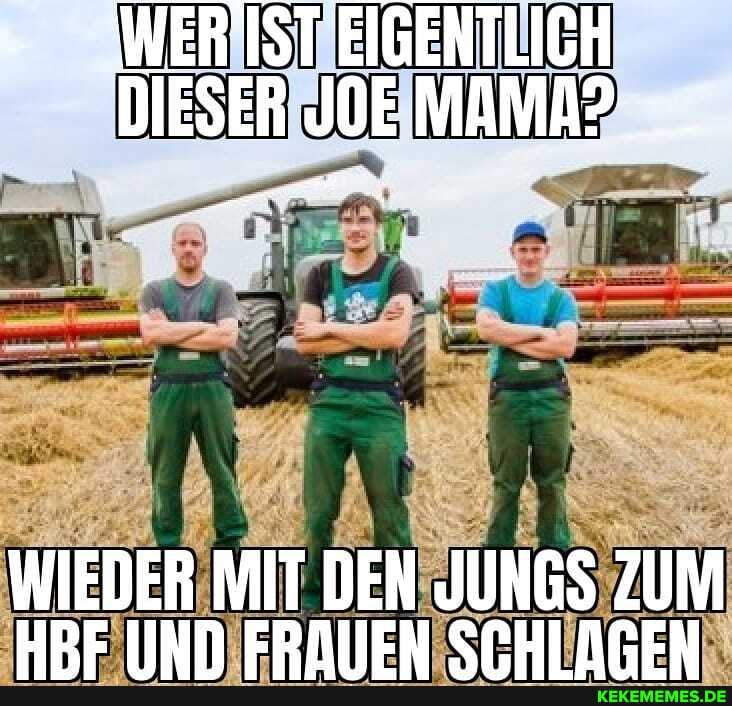 - WER IST EIGENTLICH DIESER JE MAMA?
WIEDER MiT DEN JUNGS ZUM n ERNIIEN SPHI ACEN