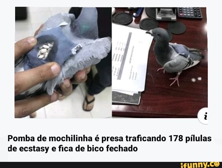 Pomba de mochilinha é presa traficando 178 pílulas
de ecstasy e fica de bico fechado
