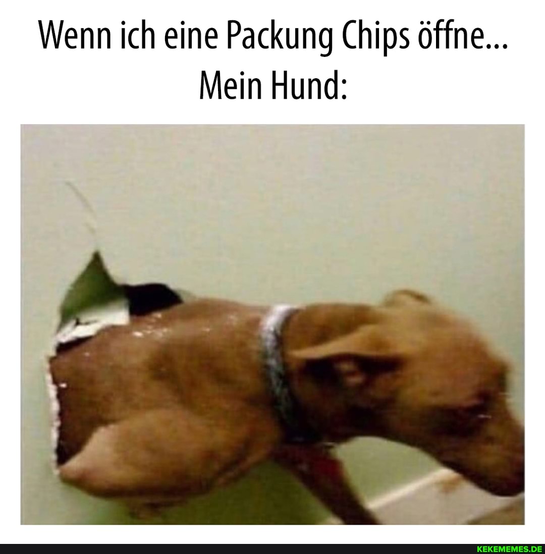 Wenn ich eine Packung Chips öffne...
Mein Hund: