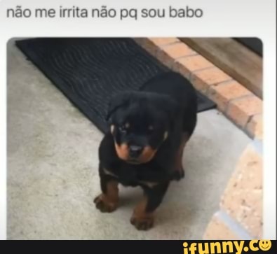ão
me irrita não pq sou babo