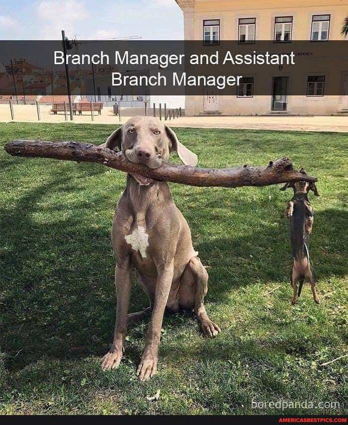 Branch Manager and Assistant
Branch Manager