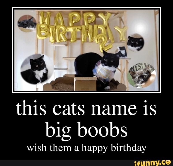 Happy Birthday Big Boobs